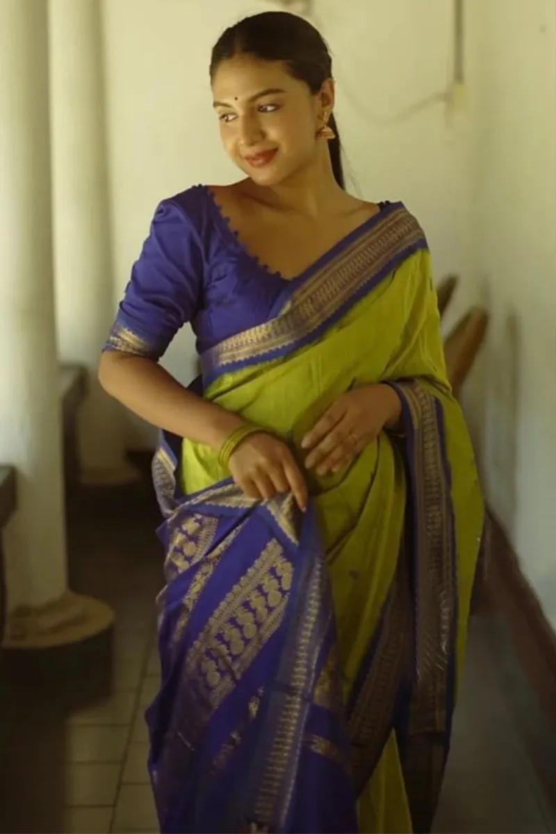 Stunner Mehandi Soft Silk Saree With Classic Blouse Piece